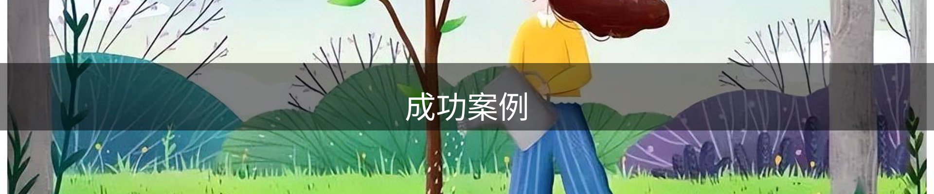 成功案例